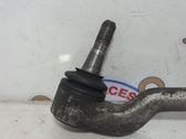 Front lower control arm/wishbone