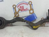 Front lower control arm/wishbone