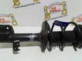 Front shock absorber/damper