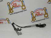 Front door window regulator with motor