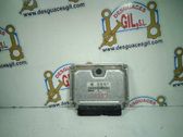 Calculateur moteur ECU
