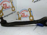 Front lower control arm/wishbone