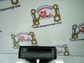 Radio/CD/DVD/GPS head unit