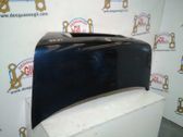 Puerta del maletero/compartimento de carga