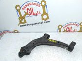 Front lower control arm/wishbone