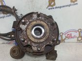 Rear wheel hub spindle/knuckle