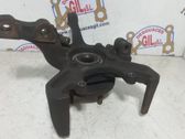 Front wheel hub spindle knuckle