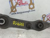 Brazo de suspensión/horquilla inferior delantero