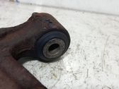 Front lower control arm/wishbone