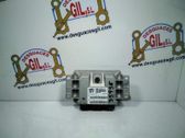 Calculateur moteur ECU