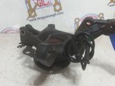Front wheel hub spindle knuckle