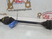 Eje de transmisión trasero