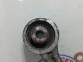 Brazo de suspensión/horquilla inferior delantero