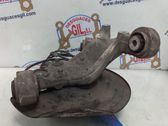 Rear wheel hub spindle/knuckle
