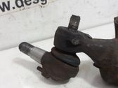 Front lower control arm/wishbone