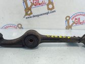 Front lower control arm/wishbone