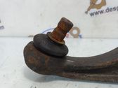 Front lower control arm/wishbone