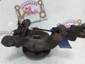 Front wheel hub spindle knuckle