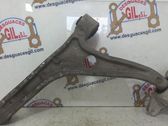 Front lower control arm/wishbone