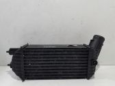Radiador intercooler