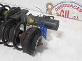 Front shock absorber/damper