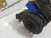Front shock absorber/damper
