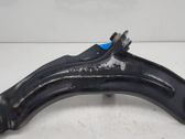 Front lower control arm/wishbone