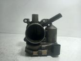 Throttle body valve