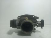 Throttle body valve