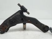 Front lower control arm/wishbone