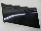 Fender trim (molding)