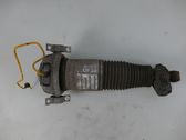 Air suspension rear shock absorber