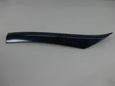 Windshield trim