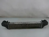 Radiador intercooler