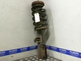 Front shock absorber with coil spring