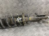 Front shock absorber with coil spring