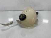 Deckel Ausgleichsbehälter Kühlwasser