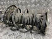 Amortiguador delantero con muelle espiral