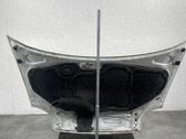 Motorhaube
