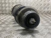 Amortiguador delantero con muelle espiral