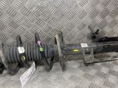 Amortiguador delantero con muelle espiral