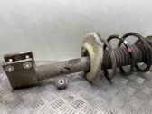 Front shock absorber with coil spring