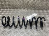 Rear coil spring
