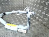 Roof airbag