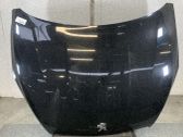 Capó/tapa del motor