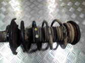 Front shock absorber with coil spring