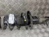 Amortiguador delantero con muelle espiral