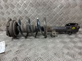 Front shock absorber with coil spring