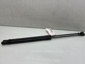 Tailgate/trunk strut/damper