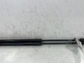 Tailgate/trunk strut/damper